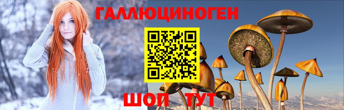 Галлюциногенные грибы ЛСД Вышний Волочёк