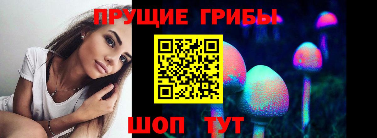 Псилоцибиновые грибы мицелий Вышний Волочёк